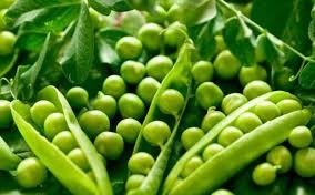 India has temporarily lifted all restrictions on the import of peas
