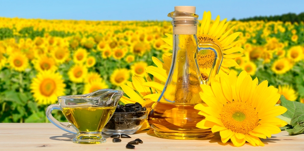 Prices on sunflowers growing in the vegetable oil price