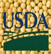 USDA збільшив прогноз світового виробництва сої за рахунок Китаю