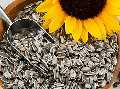 Domestic stocks of sunflower seed increased by 46% compared with the year 2016