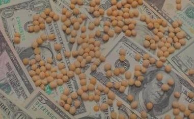 Turkey and Egypt have become the largest buyers of Ukrainian soybeans