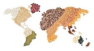 Несмотря на снижение прогноз мирового производства зерна в 2020/21 МГ будет на рекордном уровне