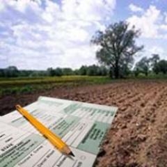 В Украине с 1 марта вступает в действие новая методика оценки сельхозземли