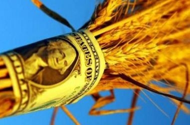 Уменьшение конечных запасов в отчете USDA разогрело цены на пшеницу