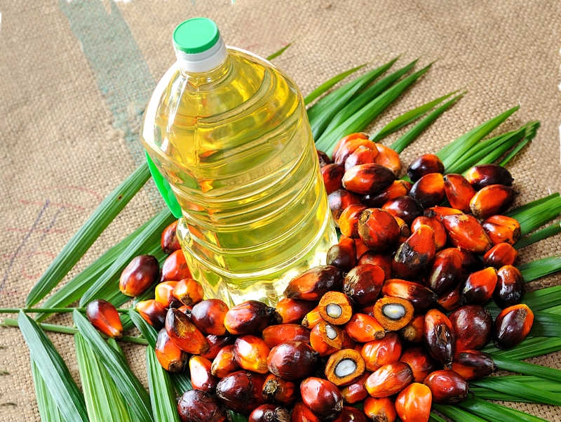 Palm oil prices rose by 5% following the soybean and sunflower oil markets