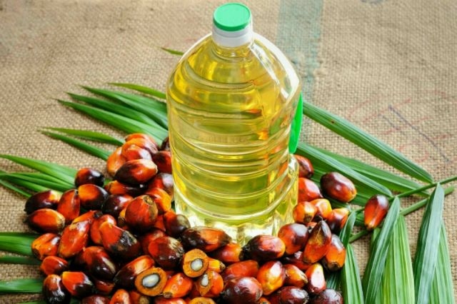 The price of palm oil is higher than soybean