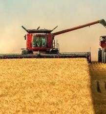 Ukraine and Russia started the harvesting campaign of grains