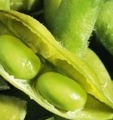 Prices for soybeans rose after the resumption of purchases by China