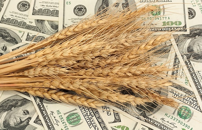 Prices continue to fall on wheat exchanges