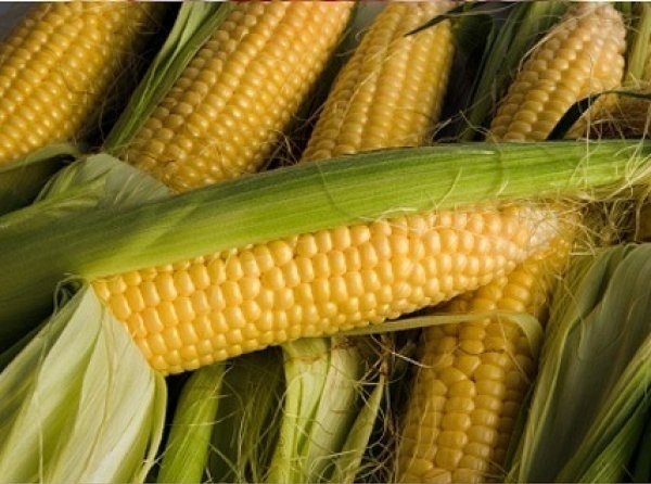 Міжнародні ціни на кукурудзу