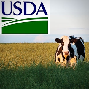 USDA's estimate of acreage under wheat and corn in the United States exceeded expectations