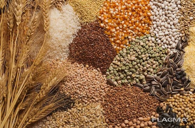 Ukraine collected more than 2 million tons of grain of the new crop