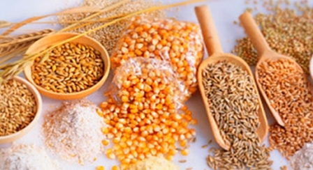 FAO expects record world production and stocks of grain in 2020/21 MG