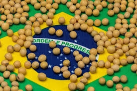 Forward sales of soybeans from Brazil are significantly lower than last year, indicating a drop in global demand