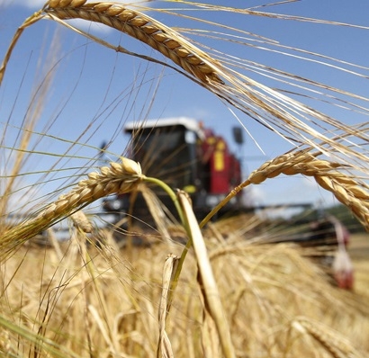 The heat in Ukraine and Russia hurting the late growing season of crops