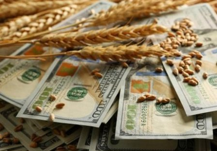 На пшеничних біржах продовжується спекулятивне зростання