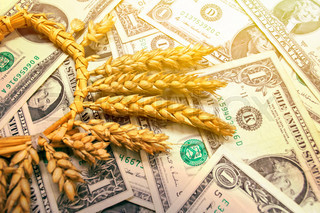Wheat drops after the speculative leap