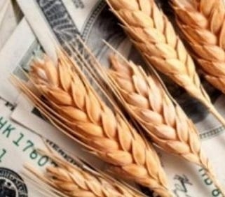 Stocks of wheat in the new season reached a record value