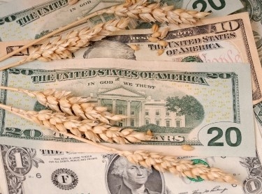 Ринок пшениці застиг в очікуванні фундаментальних новин