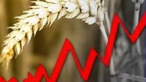 Hopes for the intensification of export  heat wheat market in Chicago