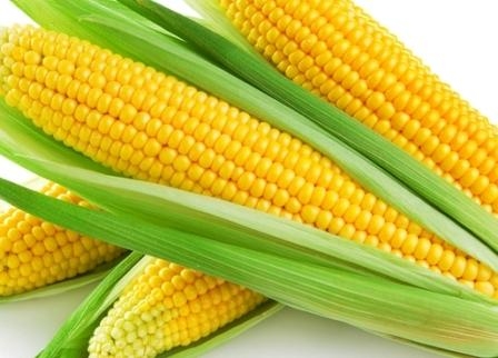 World corn prices are falling, despite stably demand