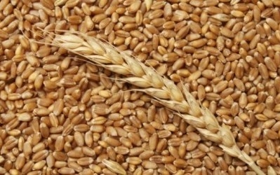 Demand for U.S. wheat decreased and in Ukraine  is still high