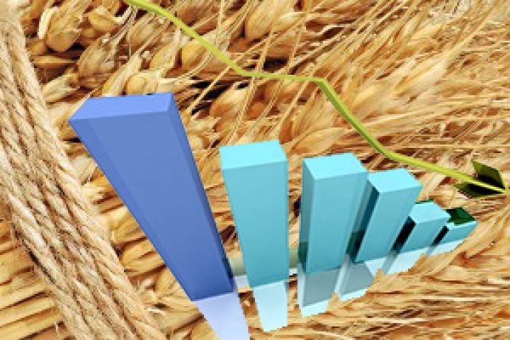 Stock market quotations for wheat during the week collapsed by 6-10%