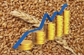 The price of wheat in Chicago for the day grew to a record 8%