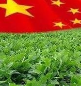China continues to reduce the demand for soy