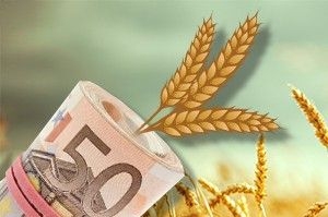 The Ministry of agrarian policy is developing a new system of subsidies for farmers