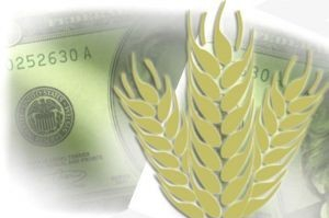 Wheat prices stabilized before Christmas