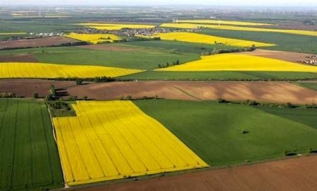 The Ministry of agriculture is trying to accelerate the reform of the land market