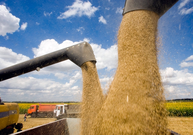 За даними ФМС, з початку 2014/2015 маркетингового року з Росії було експортовано 23,9 млн т зерна