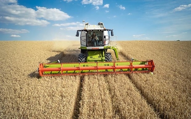 В Украине уже собрано 57,6 млн т зерновых и масличных культур