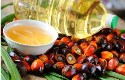 The price of palm oil will support prices for sunflower and soybean oil