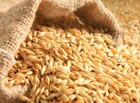 The purchase price of wheat in Egypt had risen by 2.25 $/t