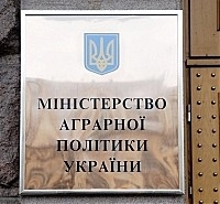 На 41 % посівних площ в Україні відсутні сходи озимини