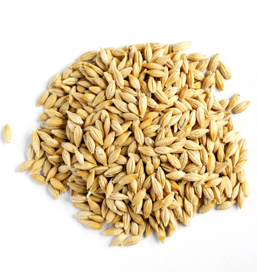 Saudi Arabia has purchased in the tender 780 thousand tons of barley