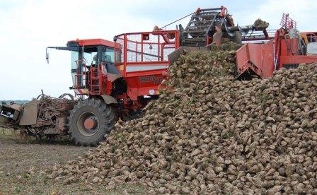 Россия собрала почти 123 млн. тон зерна