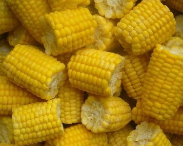 The corn market shocked "bearish" USDA report