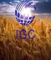 IGC increased the forecast of world wheat trade in 2019/20 Mr