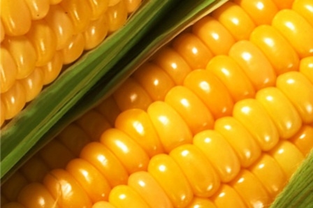 Цены на кукурузу в Украине растут вслед за мировыми