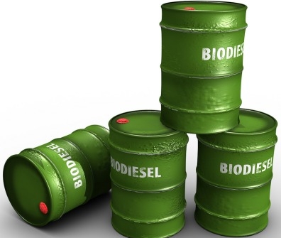 В Индонезии получили первую партию биодизеля, полностью изготовленного из пальмового масла