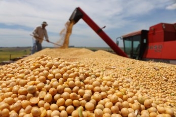 The soybean crop in South America was below the projected level