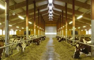 МінАПП планує компенсувати аграріям 250 млн. грн на будівництво тваринницьких ферм