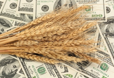 Improvement of crops causes a drop in wheat prices