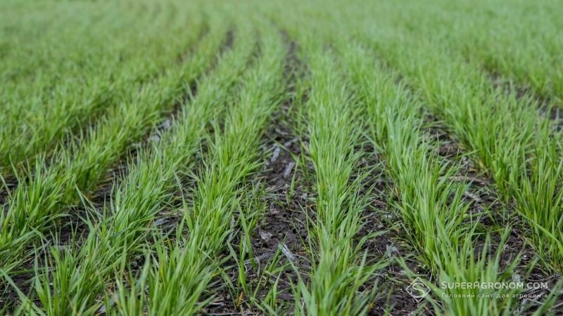 Аграрный комитет ВР одобрил законопроект об упрощении изменения назначения сельхозземель