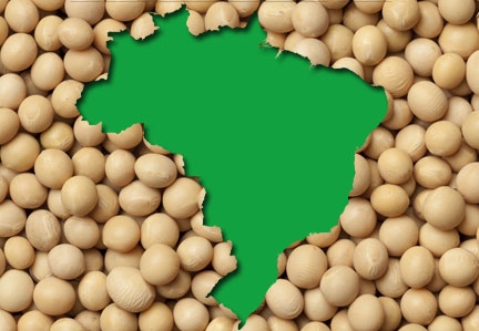 У лютому експорт сої з Бразилії різко збільшиться, що призведе до зниження попиту на американську сою