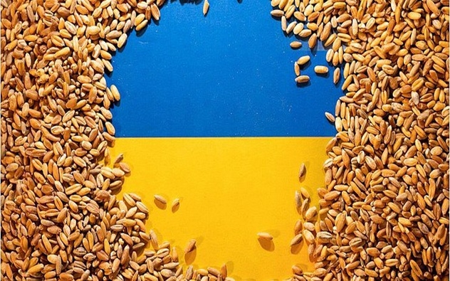 In February, Ukraine increased the export of agricultural products by 3.4% to 8 million tons