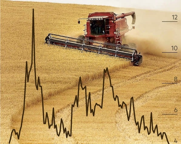 The activation of importers slightly reduced the rate of decline in wheat prices